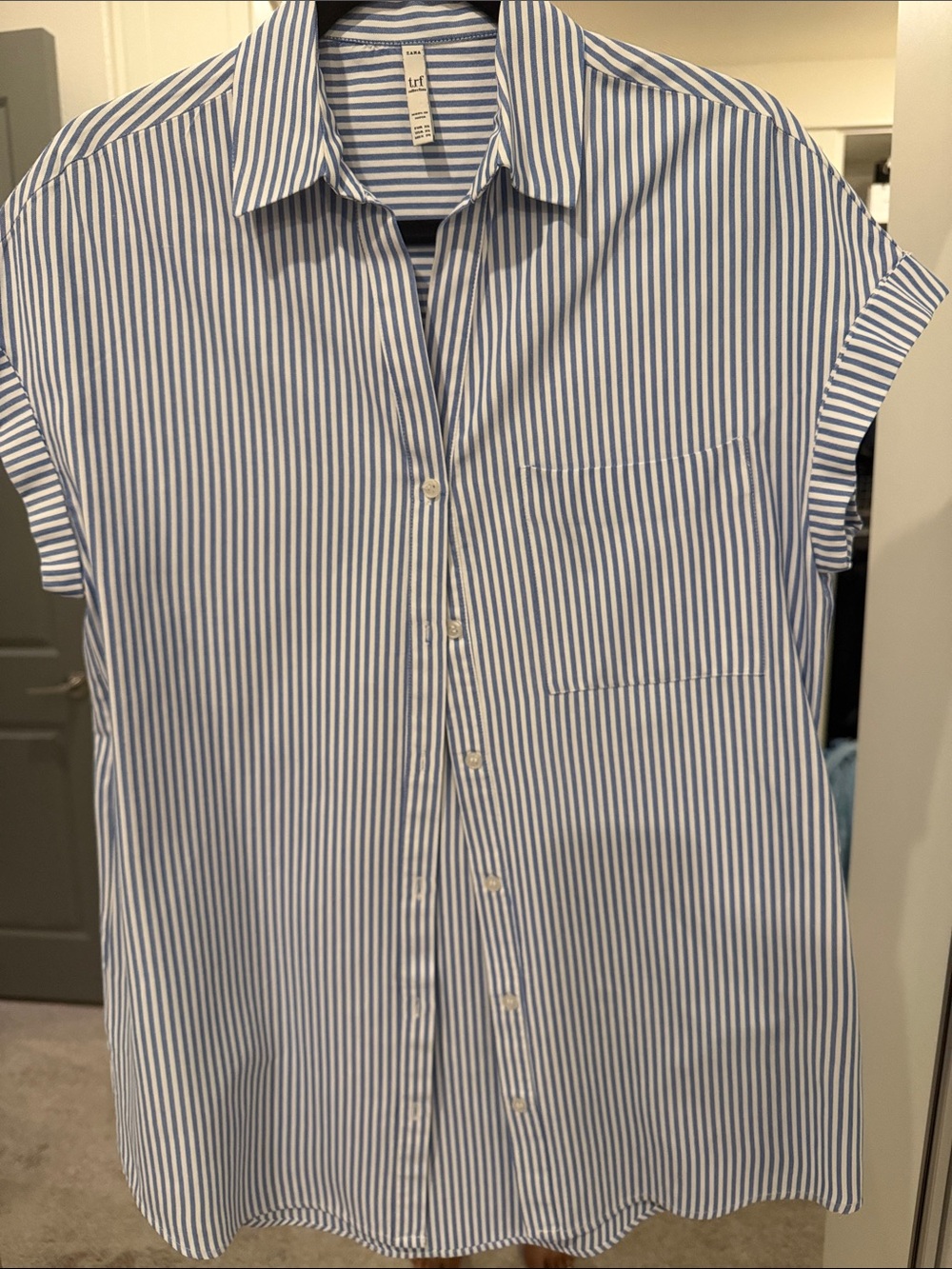 Zara Blue and White Vertical Stripe Short-Sleeve Button-Down